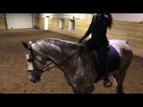 Casel dressur med Madelen