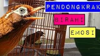 Download lagu PANCINGAN WAMBI BIAR ENAK BUNYI mp3 Download lagu PANCINGAN WAMBI BIAR ENAK BUNYI mp3