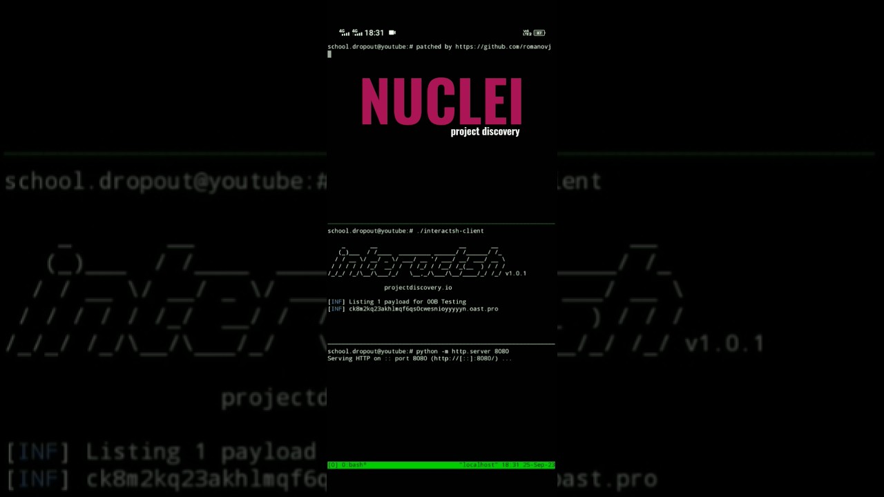 Nuclei by Project Discovery #nuclei #bugbounty #devops