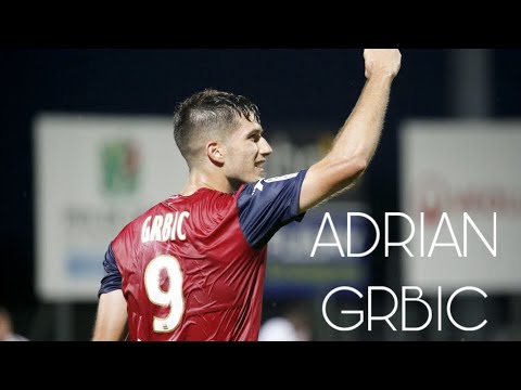 Adrian Grbic • All goals 2019-20 • Clermont Foot