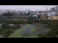 Inde : le combat d'un citoyen pour nettoyer les lacs pollués de Bangalore • FRANCE 24