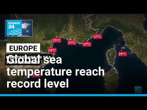 Global sea temperature reach 21 degrees amid heatwaves