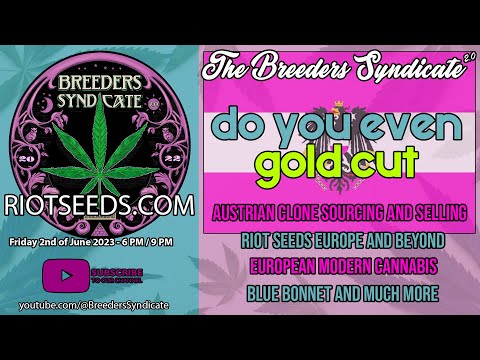 Gold Cut - Austrian Genetics & Clone Collecting & Distro Riot Seeds Europe and Beyond S08E06