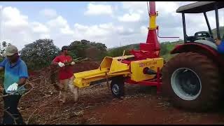 Vídeo Triturador e Picador de Galhos - Ecológica PGM 400
