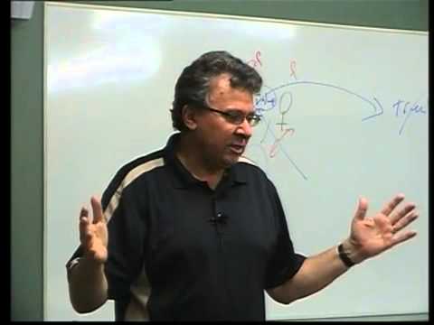 Counselling & Life Transitions Module 2 Lecture 6   Peter Reynolds