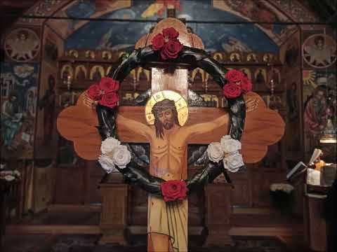 20200416 NICOLAE BALASOIU – SFANTA SI MAREA JOI – DENIA CELOR 12 EVANGHELII