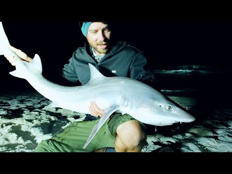 Beach Fishing the South Coast