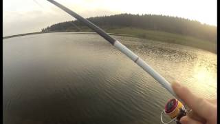 Duo grace minnow elena 50f
