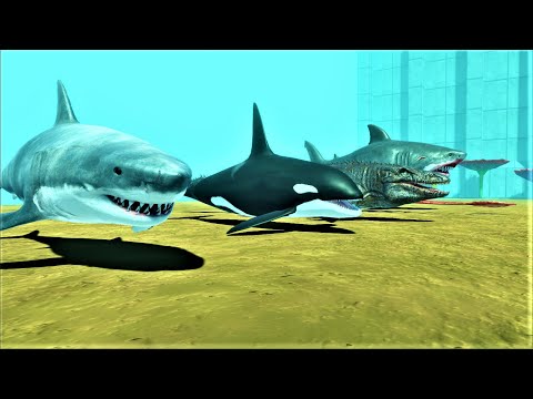All Aquatics vs every factions ARBS animal revolt battle simulator