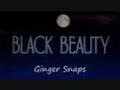 Black Beauty Soundtrack Part 5
