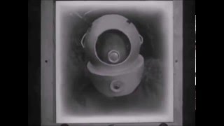 New Vaudeville Band - Winchester Cathedral (1966)