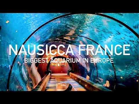 NAUSICCA France , The BIGGEST Aquarium in Europe