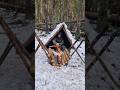 This self feeding fire will keep you warm throughout the night #shorts #bushcraft #survivalskills