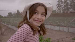 Trailer | Manuales de supervivencia