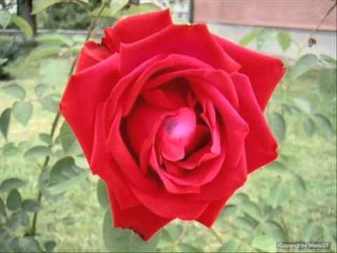 GEROCK - Krásny čas