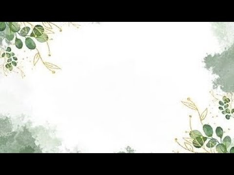 SCHOOL MONTAGE | ANGELA B