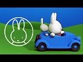 Miffy S Holiday Trip Miffy Friends