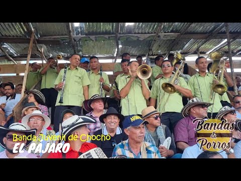 ✅🔥EL PÁJARO 🐦 - Banda Juvenil de Chochó