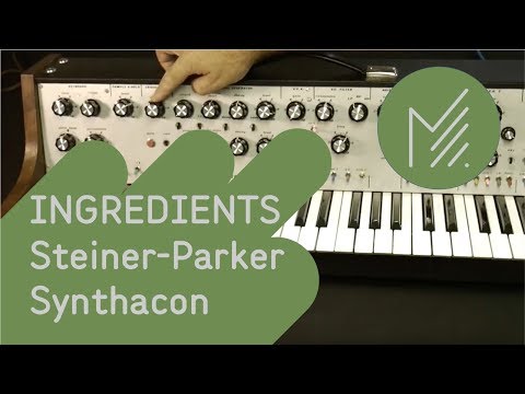 Steiner-Parker Synthacon (Black faceplate / 1977 / No keyboard) image 3