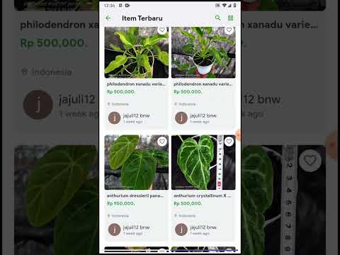 Plantco - Plant Market ID