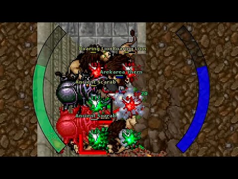 ⚔️ [EK 55] Hunt Solo Lion's Rock (Darashia) 300k/h Raw + 40k Wast | Dokin Hunts