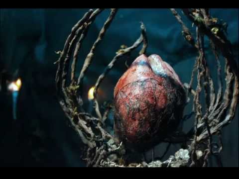 XimenaFelton’s Video 126366003623 6qG2hOHNL70