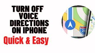 how to turn off voice directions on iphone
