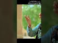 Whatsapp Statu Viralreels Viralvideo Newstatus