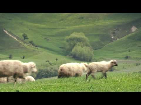 Karpatské hry Miloslava Nevrlého