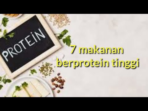 , title : 'makanan yang mengandung protein apa saja dan juga yang mudah kita dapatkan'