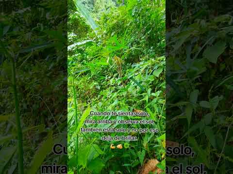 Quinchia Risaralda #aventuras #paisajesextremos #travel #nature