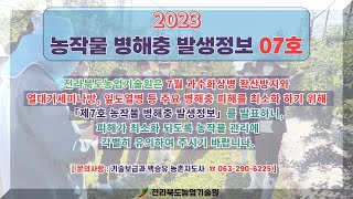 농작물 병해충 발생정보 07호 발표(2023.06.22~2023.07.05)