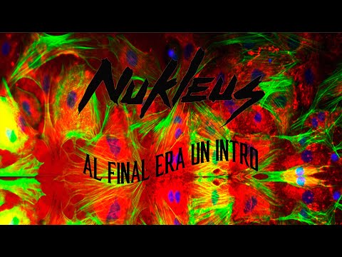 Video de la banda Nukleus