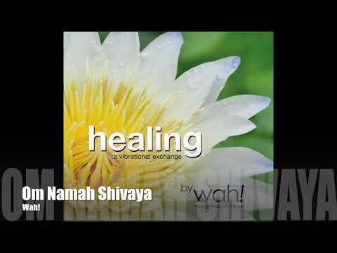 Wah! HEALING: A VIBRATIONAL EXCHANGE - Om Namah Shivaya