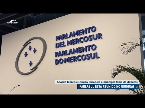 Parlasul: parlamentares do bloco debatem acordo do Mercosul com União Europeia