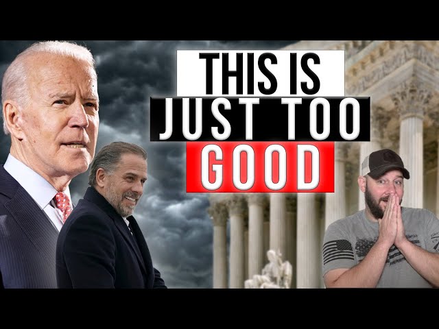 Hunter Biden poised to push GUN RIGHTS WAY FURTHER... Will ask judge to support pro gun drug ruling