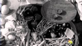 Metric Measures (1962)