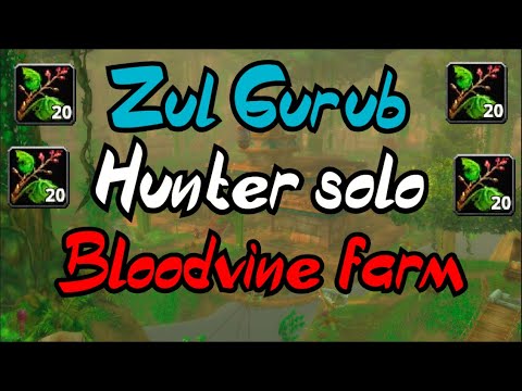 WoW Classic - Hunter SOLO ZG bloodvine farm! 6-8 bloodvines/hour (which is a lot of gold)
