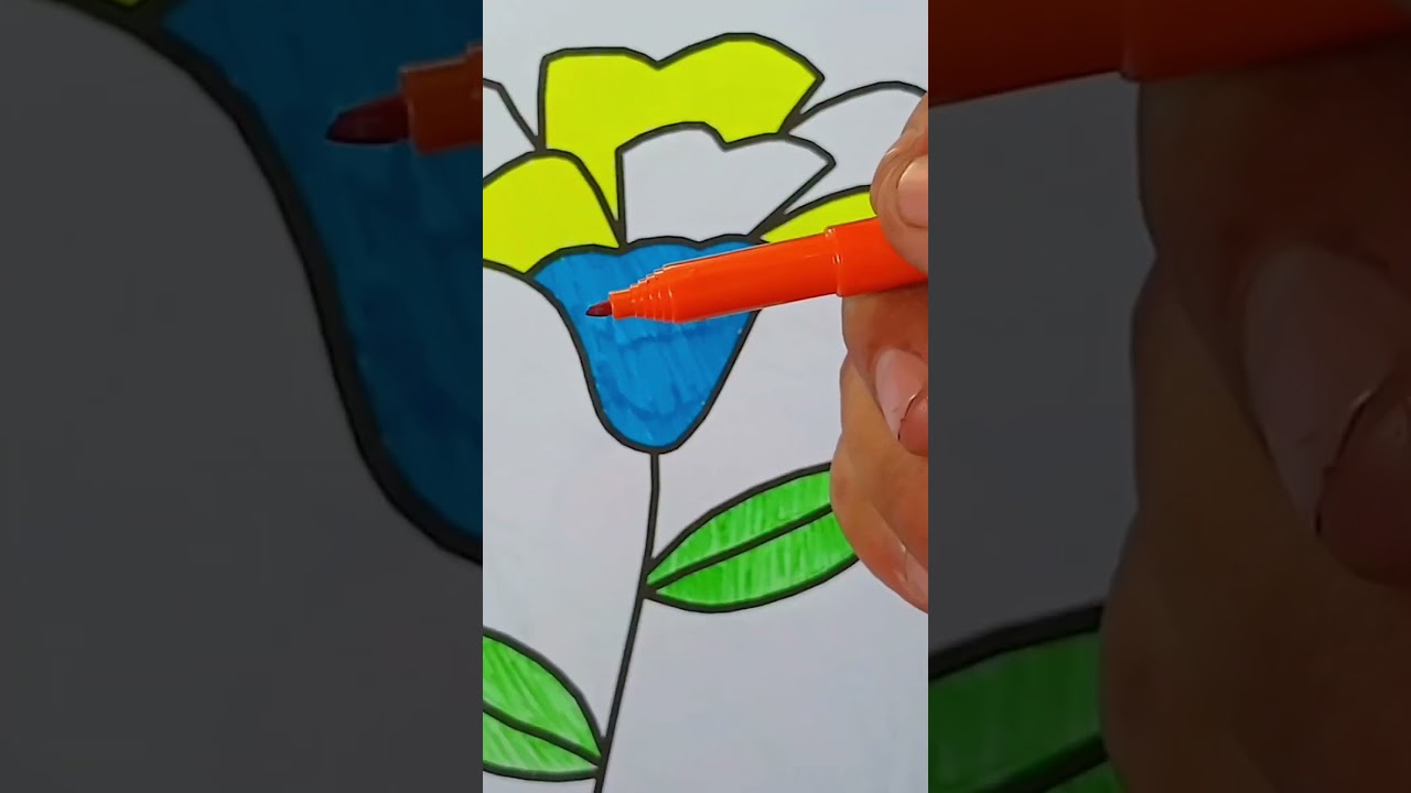 Ide Mewarnai | Bunga Kembang Sepatu