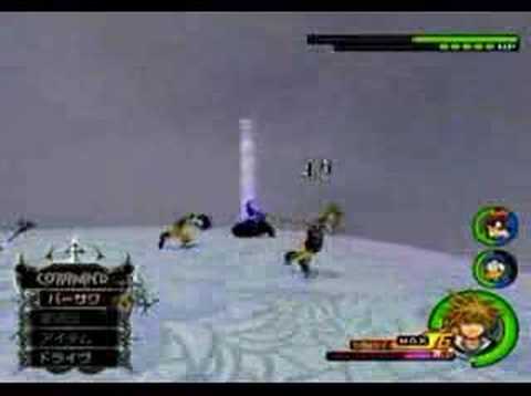 Kingdom Hearts II Final Mix - No. XI: Marluxia