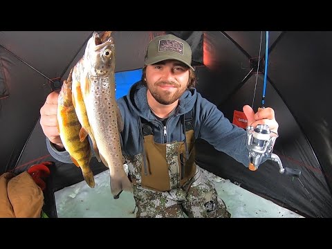 Trout n’ Perch Catch & Cook on the Ice!! (Ice Fishing)