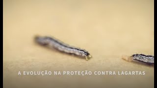 Miniatura do vídeo