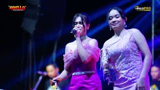 Download lagu TERLENA - SHERLY KDI (cimol) || ADELLA Live TEXIPOC 2025 mp3