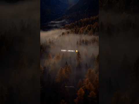 Teri Jhuki Nazar 👀🌝 Status Lyrics edit 💫 #shorts #status #edit