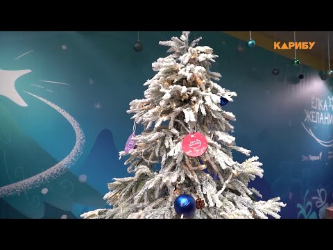 До 28 февраля продолжается Всероссийская акция «Ёлка желаний»