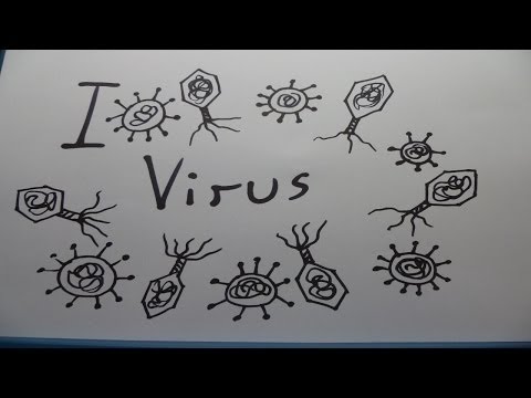 I vermi come si libererà farmaci Registri vermi alle medicine di persona