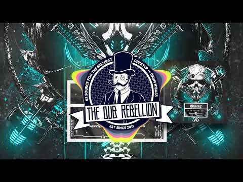 Diskirz & Answerd - Robotized