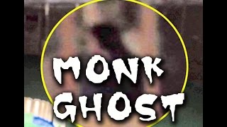 Paranormal News #36 ECTO PORTAL Monk Ghost Paris Smoke Ghost Plane Ghost UFO 4-12-17 Brothers Grimm