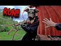 PIG FARMER TRIES TO KILL ME INSANE HORROR PARKOUR POV