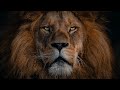 Boris Brejcha Style Art Of Minimal Techno Trip The KING By RTTWLR